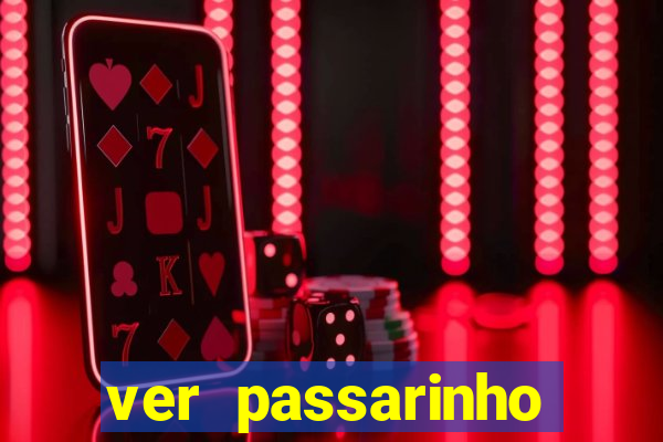 ver passarinho morto significado espiritual